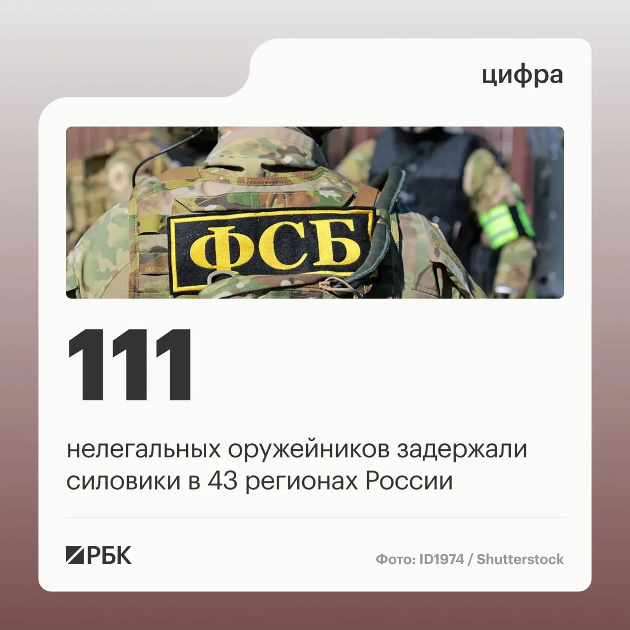 Задержанные занимались реконструкцией боевых характеристик гражданского оружия в подпольных мастерских и его продажей; в рамках операции закрыты 37 подпольных мастерских, охвативших 43 региона.
