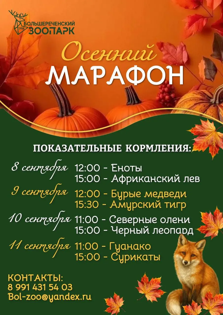 Осенний марафон кормлений животных пройдет с 8 по 11 сентября. Расписание на каждый день.