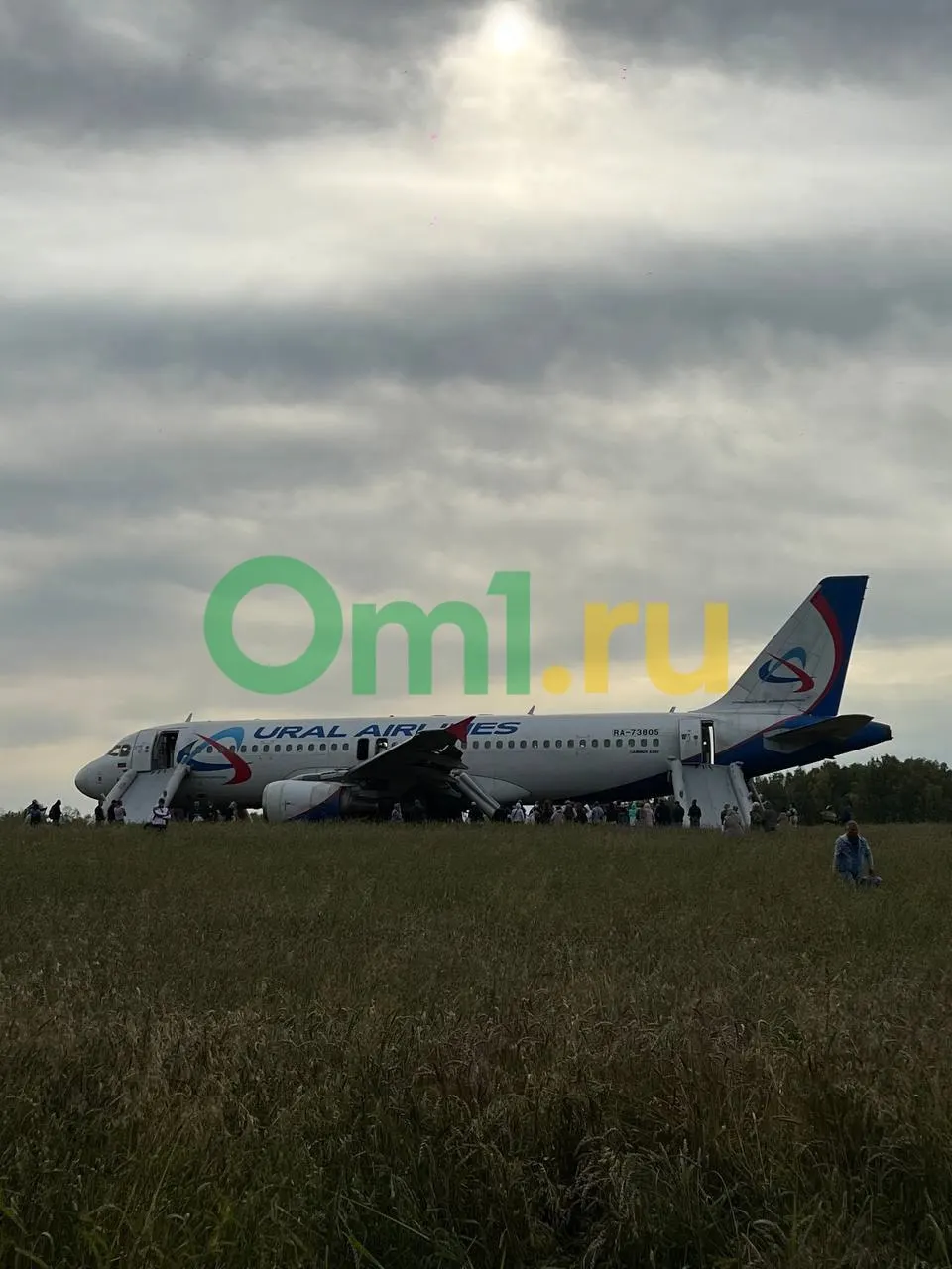 В объявлениях предлагают детали пассажирского самолета, аварийно приземлившегося в поле Новосибирской области; продавец указывает цены за болты и детали, но не подтверждает принадлежность.
