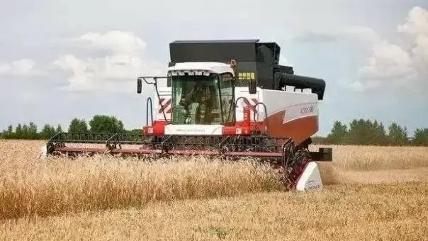 Аграрии Полтавского района обмолотили 87 624 га зерновых и зернобобовых культур — это 93% от общей площади посевов. Собрано 114 173 т зерна, урожайность 13,03 ц/га. Продолжается уборка масличных; под урожай 2026 года подготовлено 27 254 га и засыпано 14 250 т семян. Уборочная кампания контролируется губернатором.