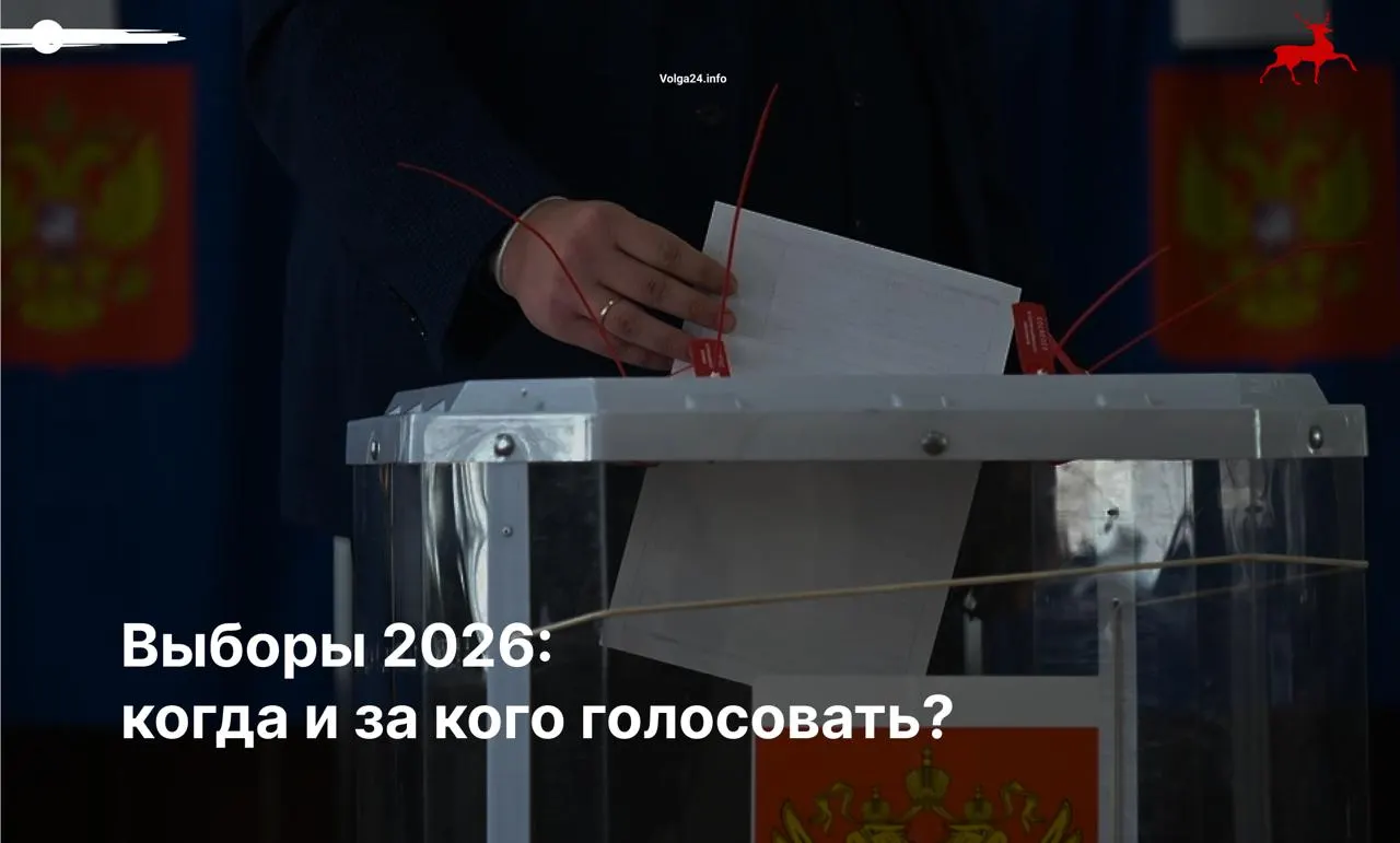 Краткое руководство по выборам: сроки голосования, порядок посещения участков и что делать в случае нарушений.