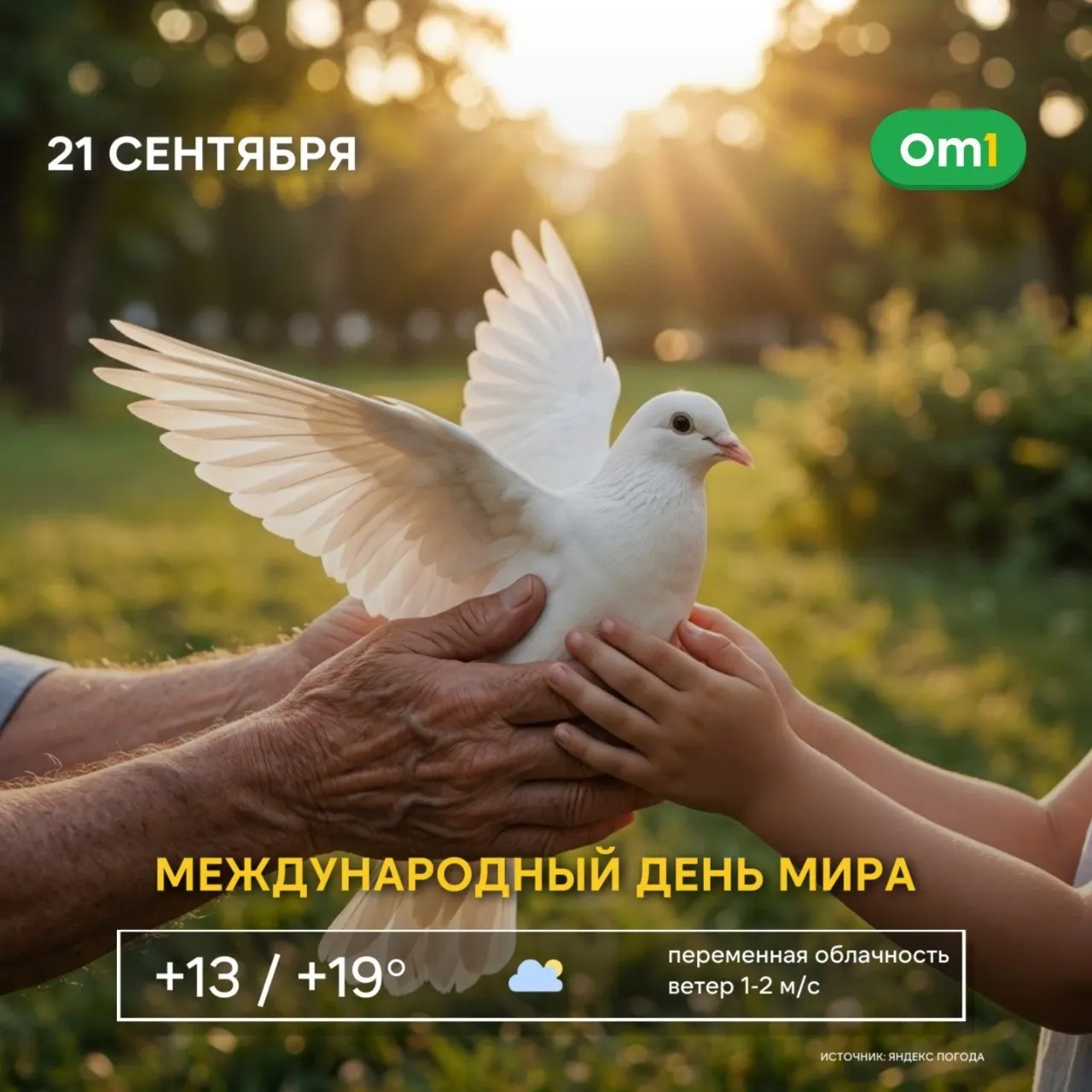 21 сентября во всём мире отмечают Международный день мира. В регионе запланированы лекции, встречи и образовательные программы, посвящённые взаимопониманию и диалогу.