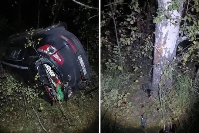 40-летняя женщина за рулем Kia не справилась с управлением и съехала в кювет на трассе Омск — Муромцево — Седельниково. Пассажирки 41 года и две девочки 11 и 14 лет пострадали.