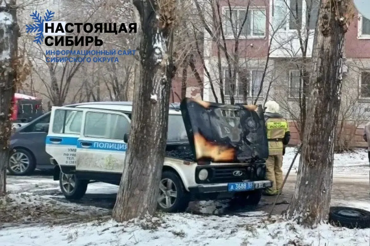 27-летний житель Омска получил 12 лет за поджог полицейской машины; суд квалифицировал преступление как террористический акт.