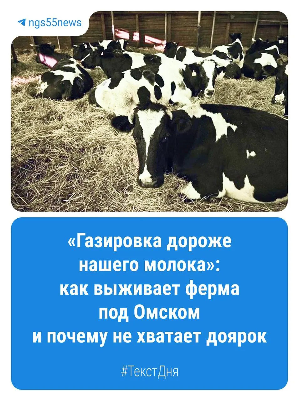 В регионе действует несколько тысяч КФХ, основная часть из которых занята растениеводством; животноводством занимаются чуть более ста хозяйств. История одного фермера иллюстрирует текущие тренды и сложности аграрного сектора региона.