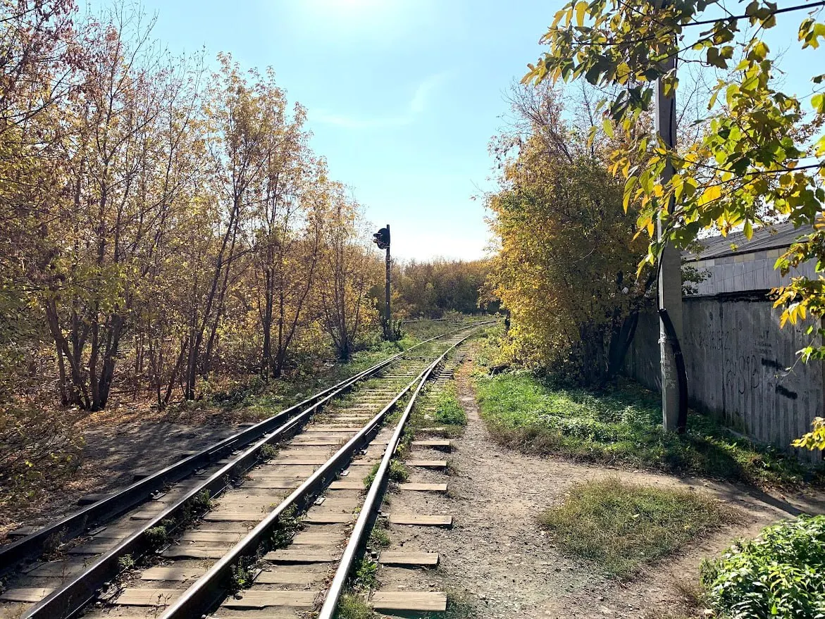Зерновой завод в Омске выставлен на продажу: площадь более 6000 кв.м, есть железнодорожный тупик; цена — 85 млн рублей.