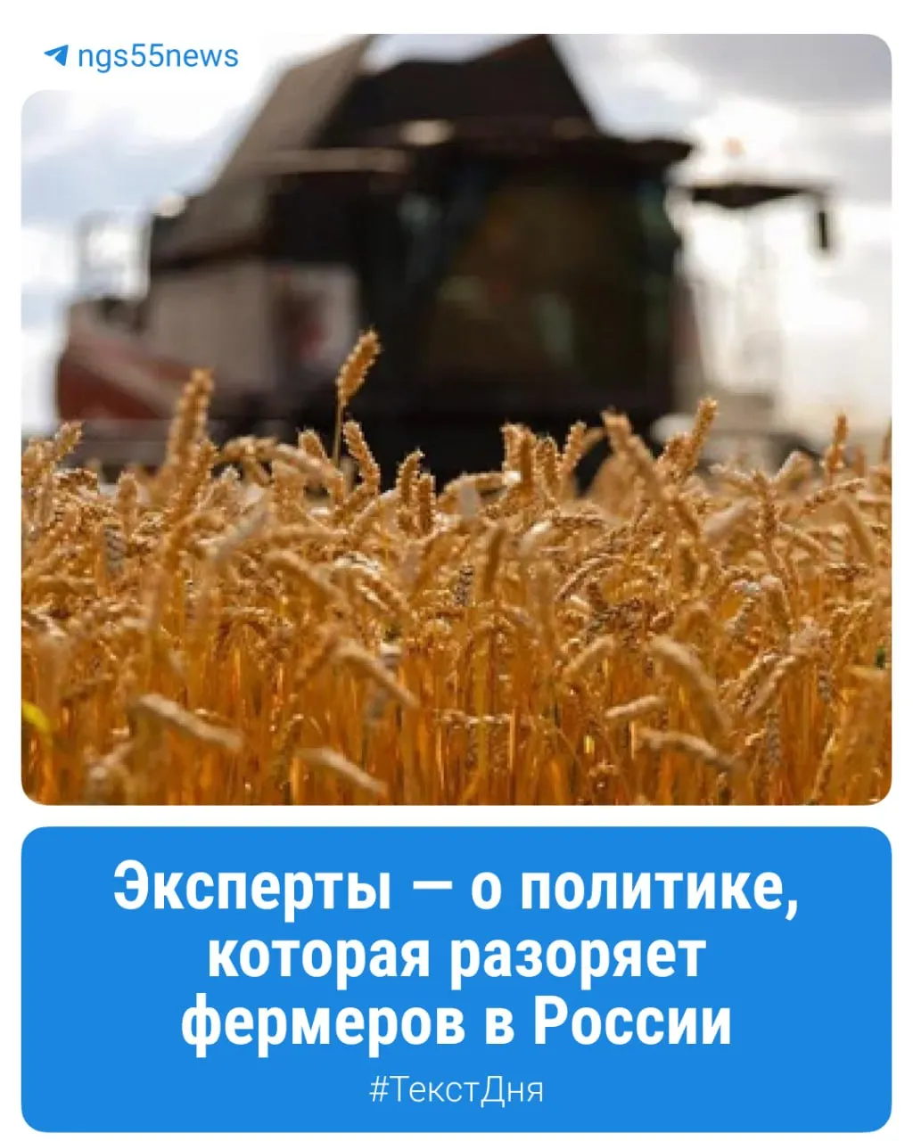 Падение цен на зерно обнажает экономическую проблему: фермеры жалуются на рост затрат и закрытие хозяйств в регионе.