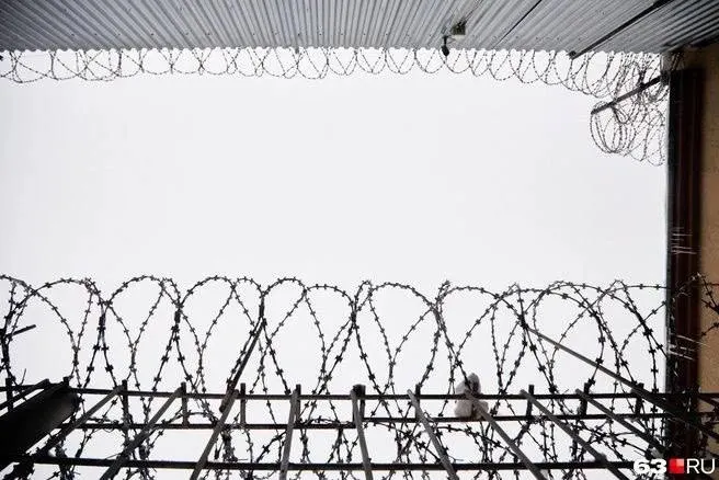 В Италии расследуется убийство 28-летней женщины из Омска Анастасии Трофимовой и её 11-месячной дочери. Подозреваемый — 46-летний американец, ранее задержанный за домашнее насилие; он был задержан в Греции.
